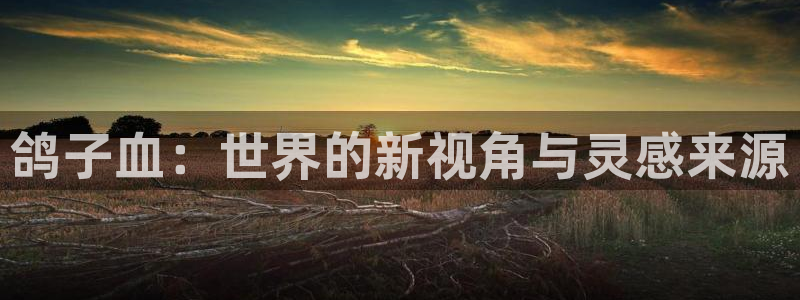 age动漫ios苹果版：鸽子血：世界的新视角与灵感来源