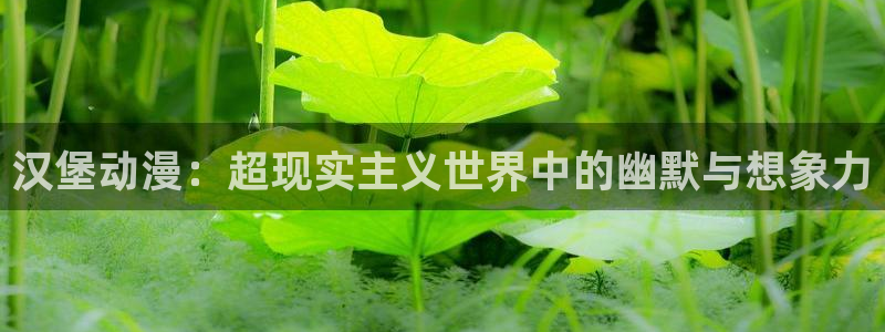 age动漫网 官网：汉堡动漫：超现实主义世界中的幽默与想象力
